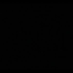 Meet your Posher, Betty